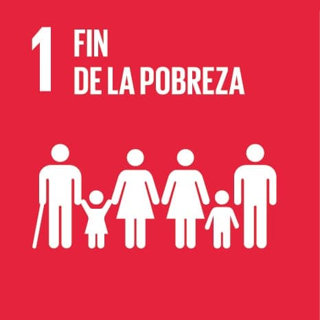 SDG 1: No poverty