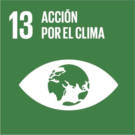 SDG 13: Climate action