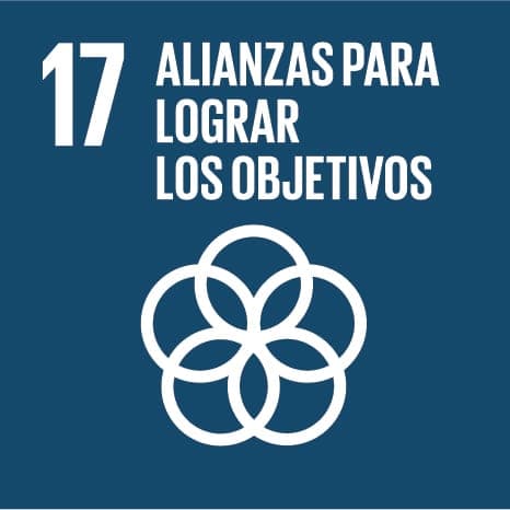 SDG 17: Partnerships for the goals
