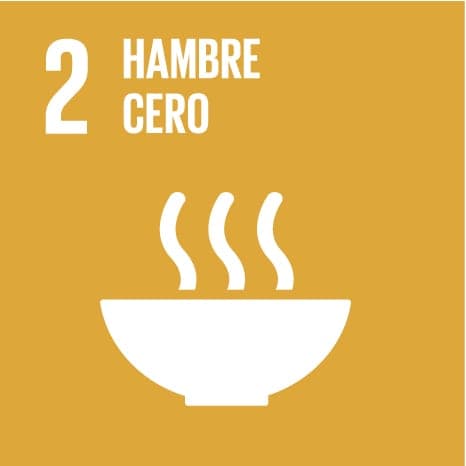SDG 2: Zero hunger
