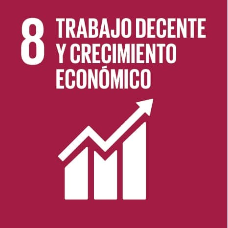SDG 8: Decent work and economic growth